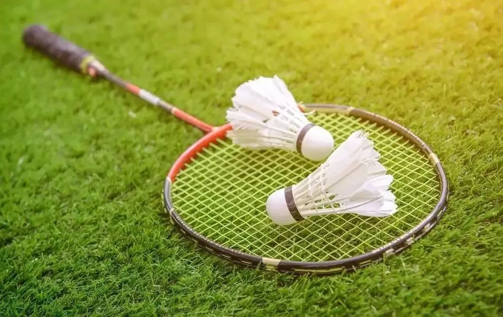 ��ɳ����3354